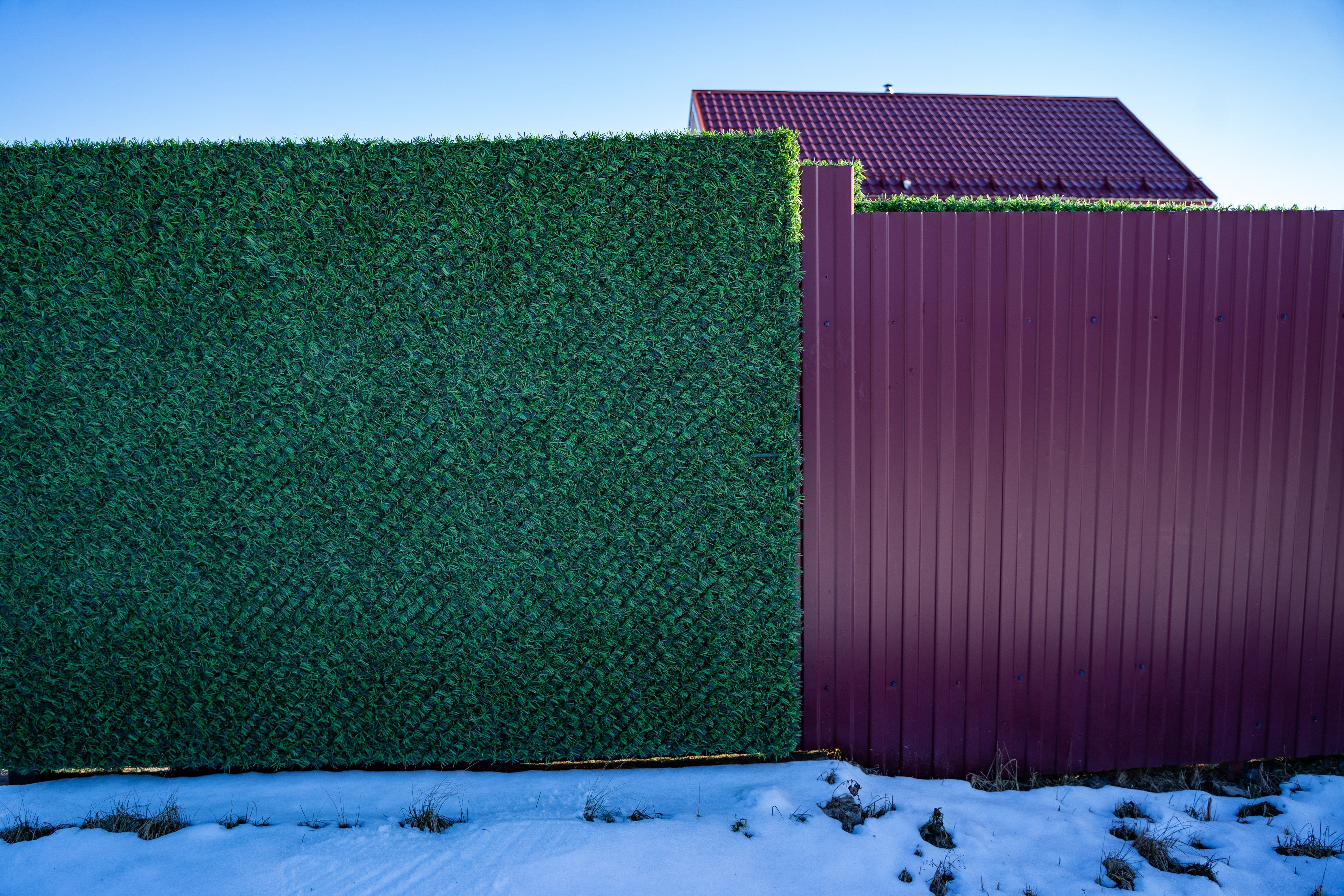 Вечнозеленый забор Grass Fence рулон 2м фото 2 в Тамбове
